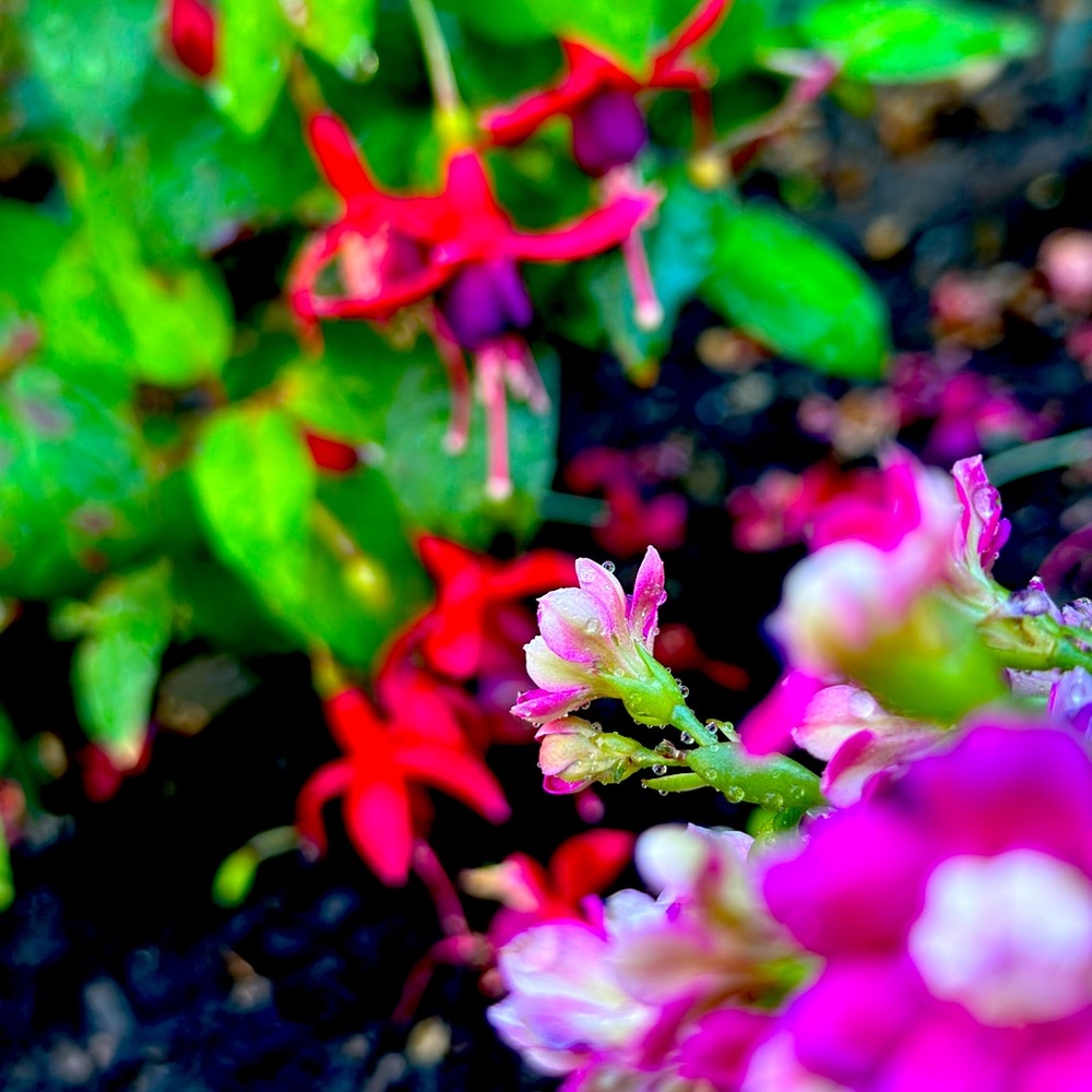 Meet your Posher, Jocelyn